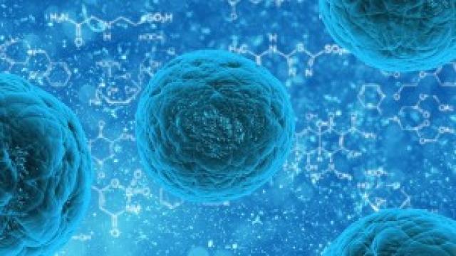 Autologous vs. Allogenic Stem Cell Transplants: What’s the Difference?