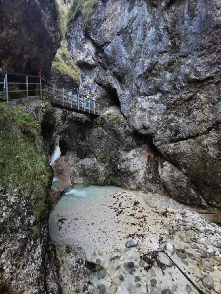 Almbachklamm mit Hund