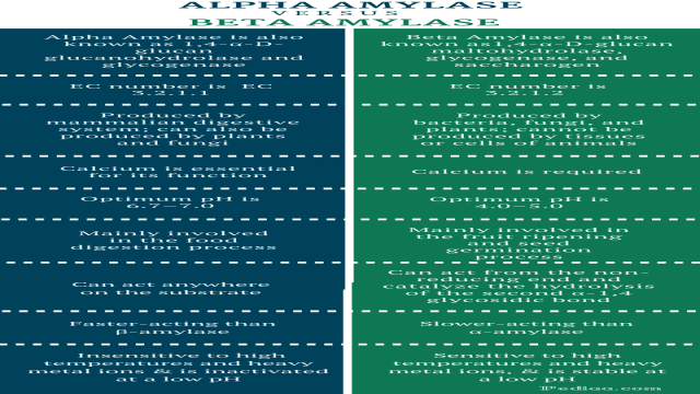 Difference Between Alpha and Beta Amylase