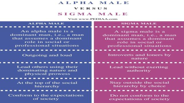 What is the Difference Between Alpha and Sigma Male