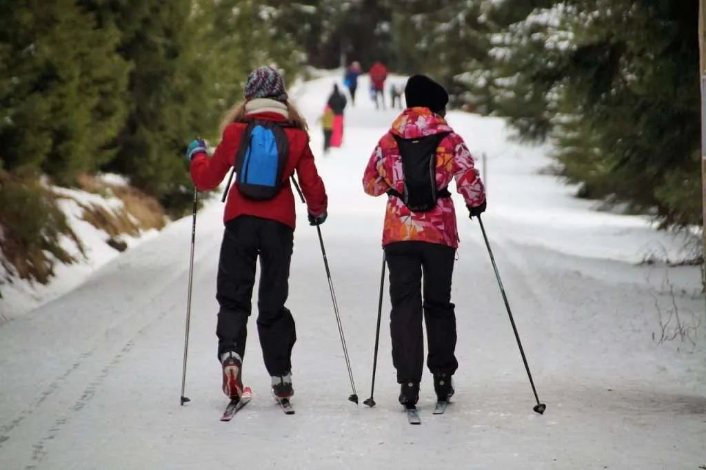 Nordic vs Alpine Skiing: What’s The Difference?