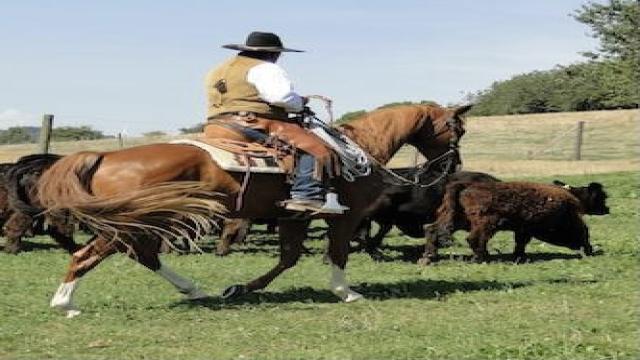 Die Altkalifornische Reitweise