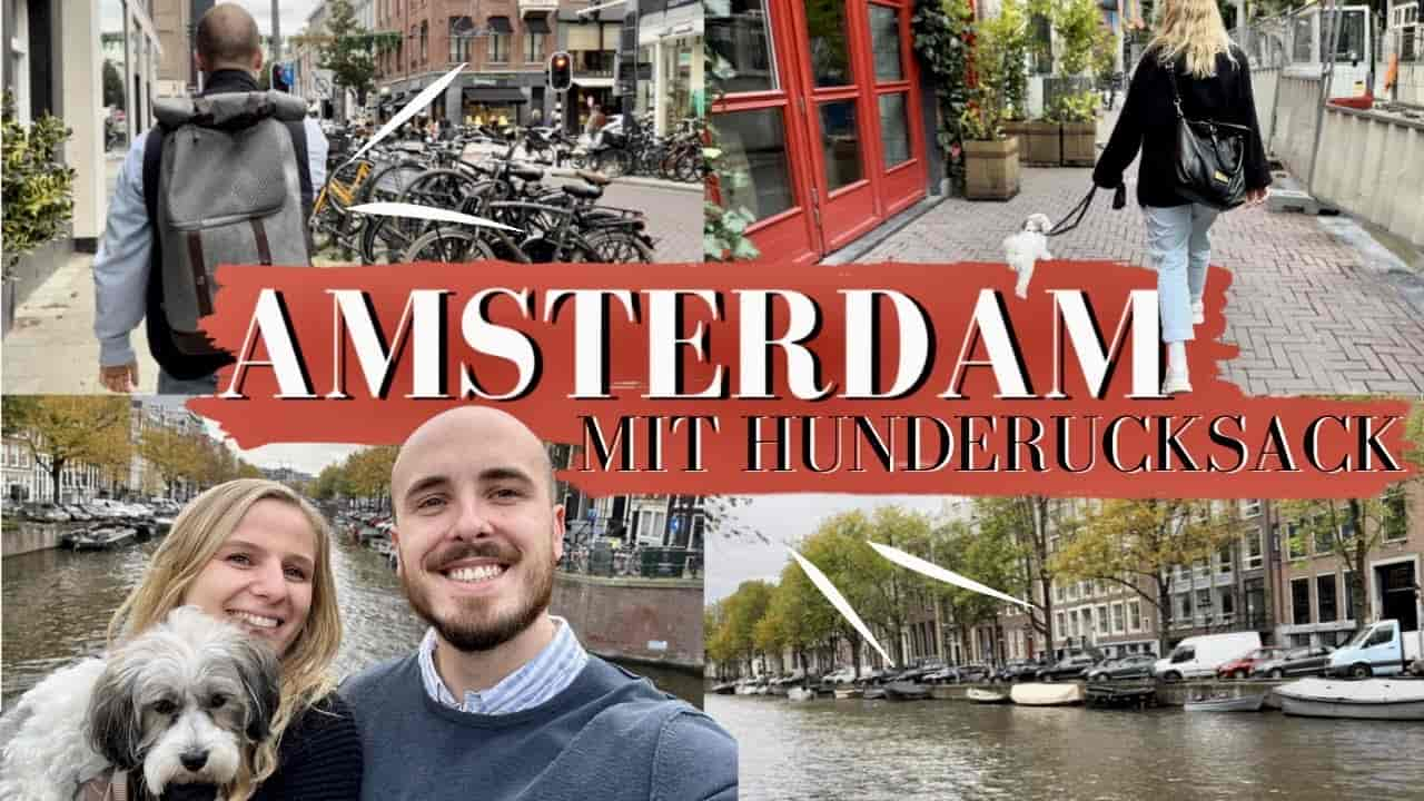 Sind bei einer Grachtenfahrt Amsterdam Hunde erlaubt?