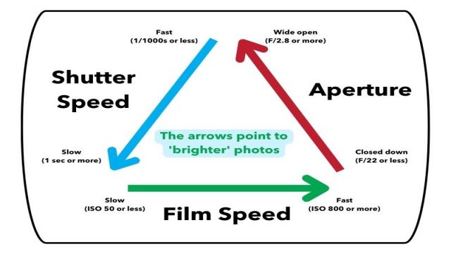 Film Speed Explained: What It Is and How It Affects Your Photos