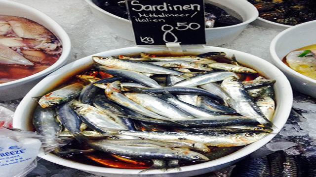 Little Fish: Sardines vs Anchovies