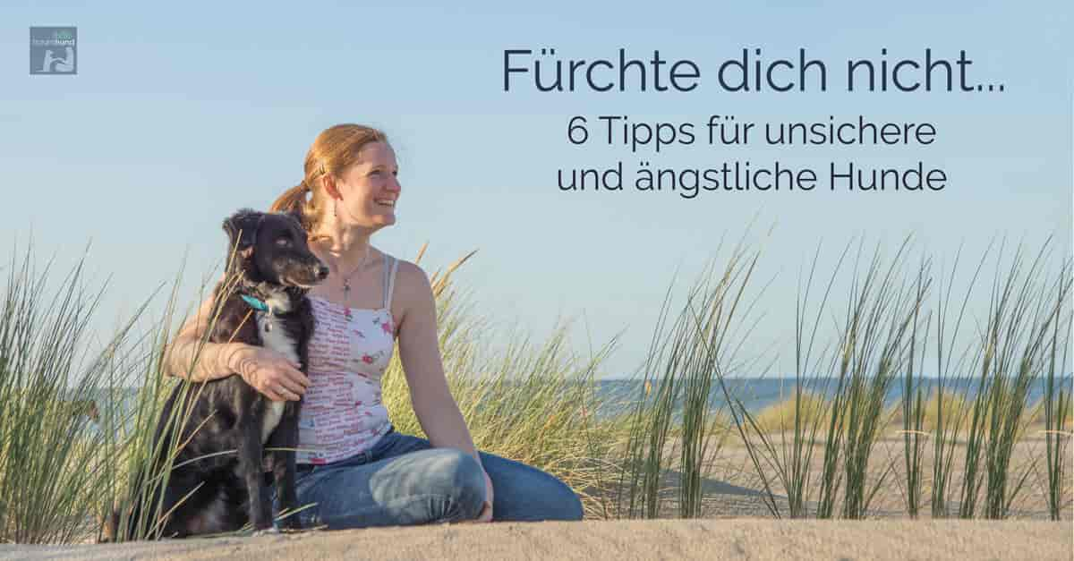 Fürchte dich nicht… 6 Tipps für unsichere und ängstliche Hunde