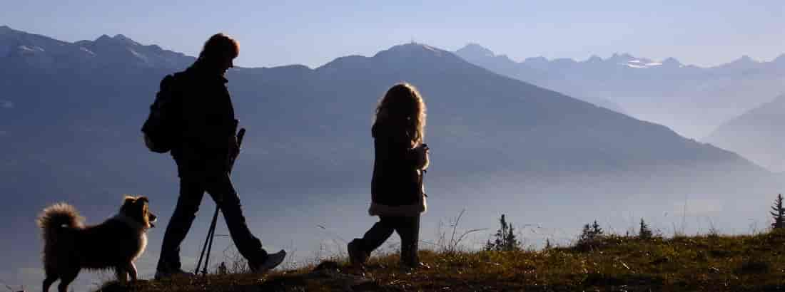 Urlaub mit Hund in den Bergen