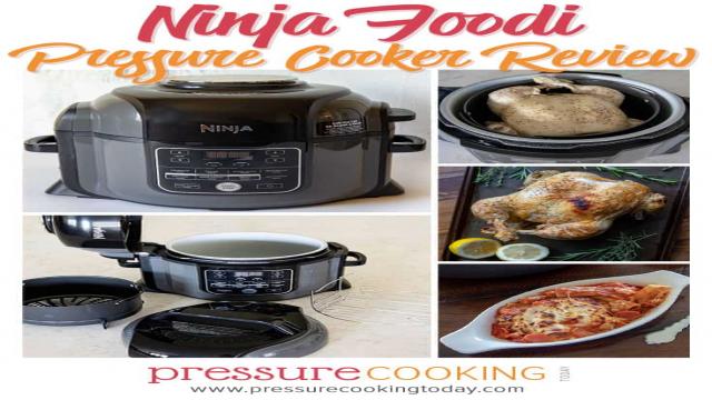 Ninja Foodi and Ninja Foodi Deluxe Pressure Cooker Reviews