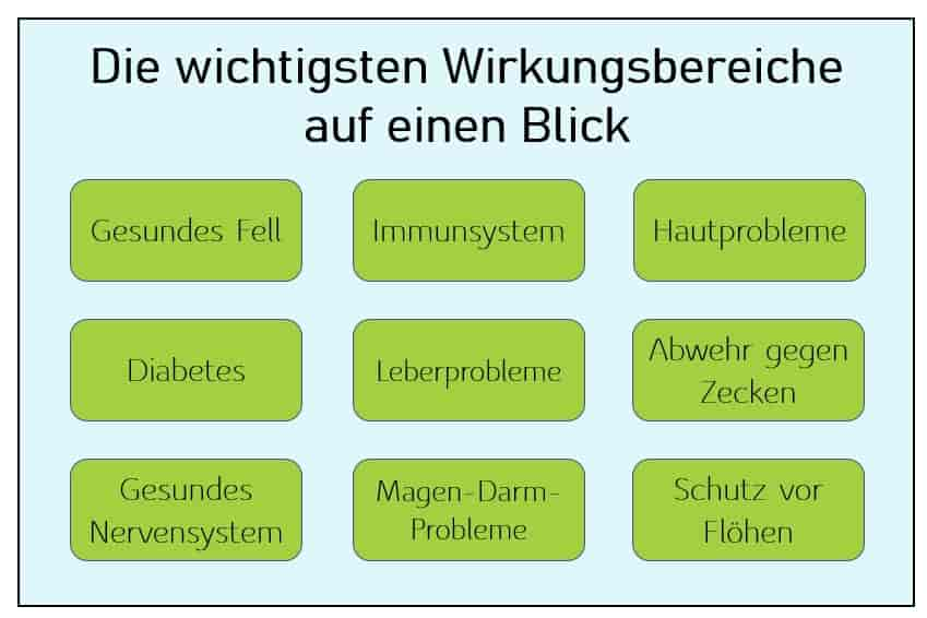 Bierhefe beim Hund: Diese Eigenschaften hat das natürliche Mittel