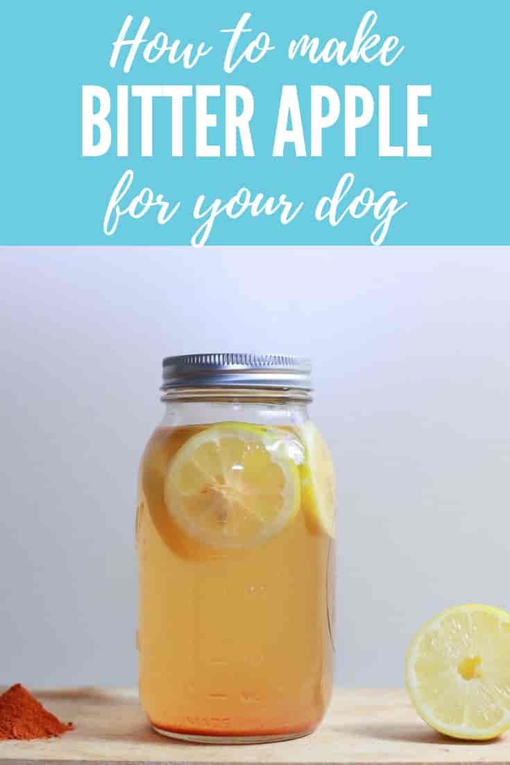 DIY Bitter Apple Spray