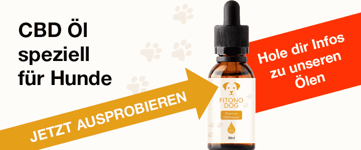 CBD für Hunde: Wirkung & Nebenwirkung