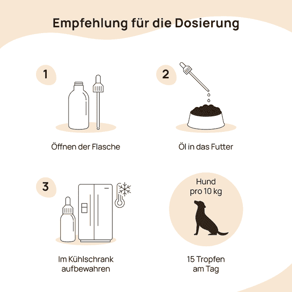 Ratgeber: CBD Öl Dosierung bei Hunden