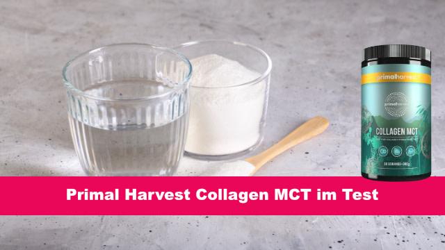 Primal Harvest Collagen MCT - Das sollten Sie vorher wissen!