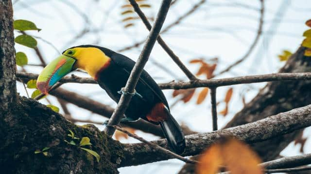 11 Orte in Costa Rica, die man unbedingt sehen sollte