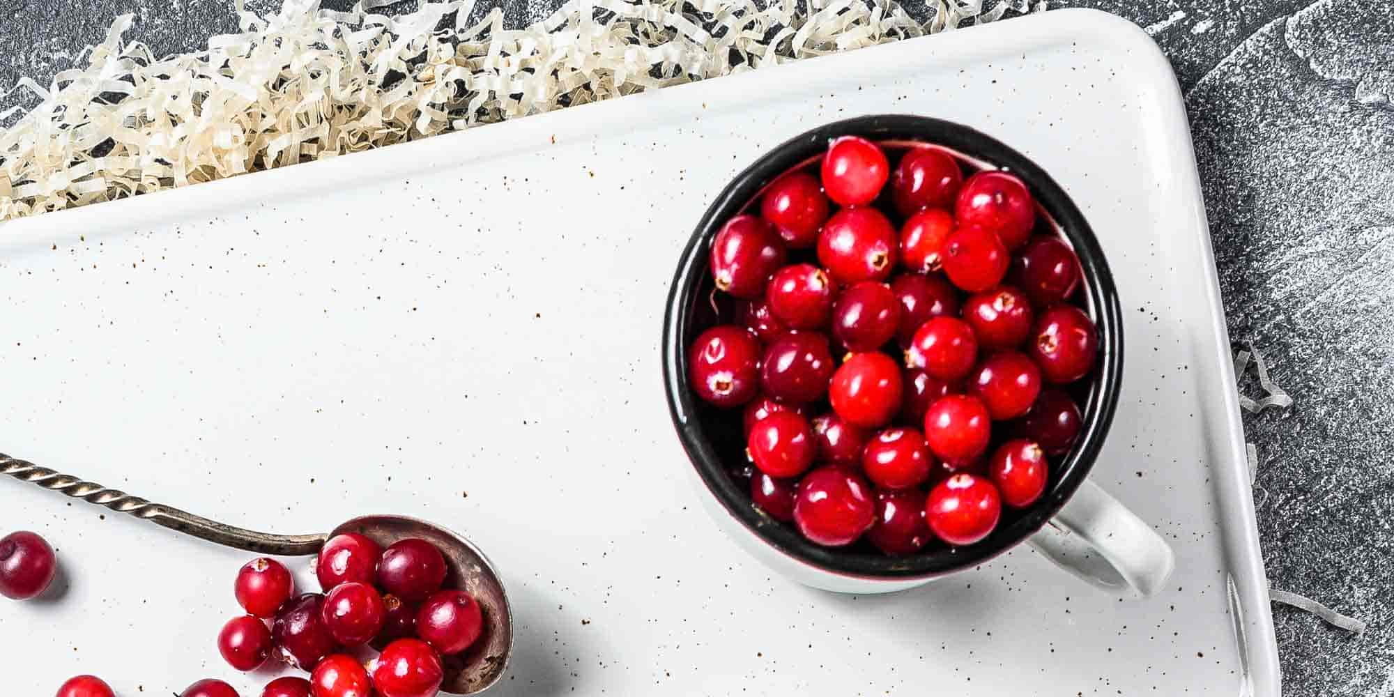 Dürfen Hunde Cranberries essen? Alles, was du wissen musst