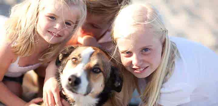 Urlaub mit dem Hund im Ferienhaus am Meer