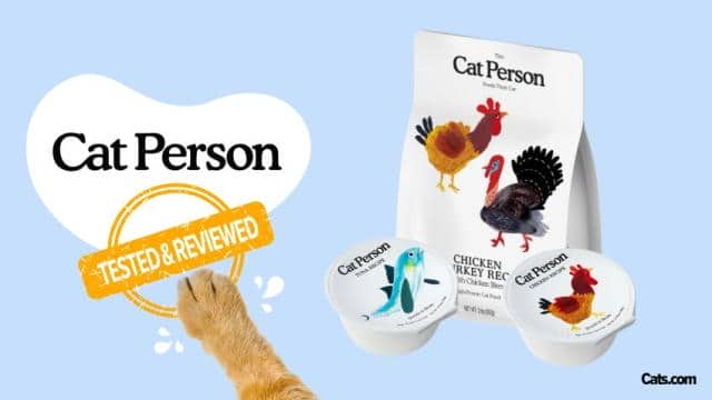 Cat Person Cat Food Subscription Review: We Tried It