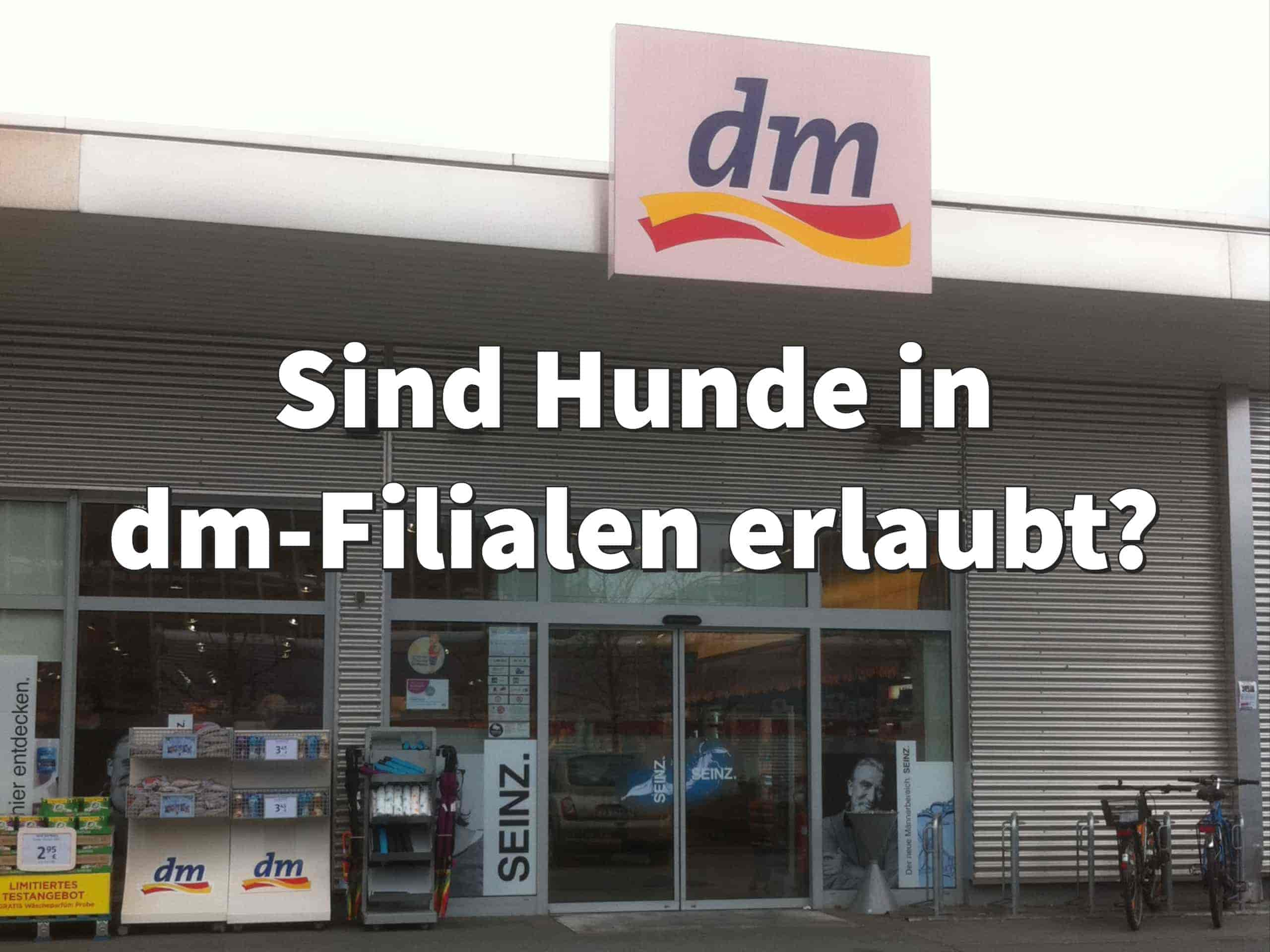 Sind in dm-Filialen Hunde erlaubt?