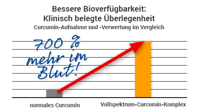 Ultra Curcumin  - BCM-95 Voll-Spektrum-Curcumin   | Dr. Hittich Gesundheits-Mittel