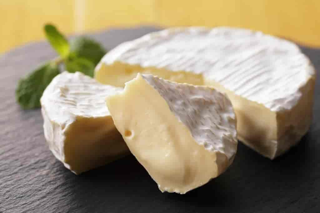 Camembert sollte nur selten an Hunde verfüttert werden