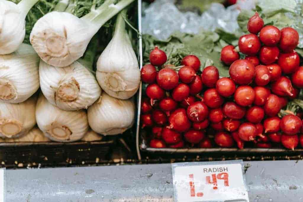 Dürfen Hunde Fenchel Essen & Fencheltee trinken?