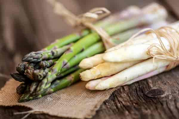 Dürfen Hunde Spargel essen?