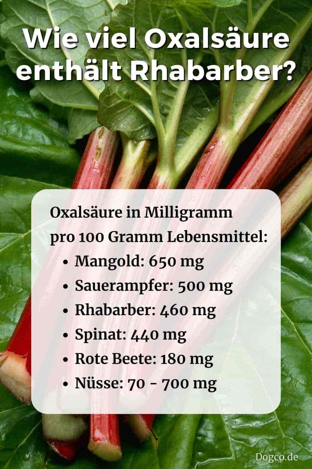 Dürfen Hunde Rhabarber essen?