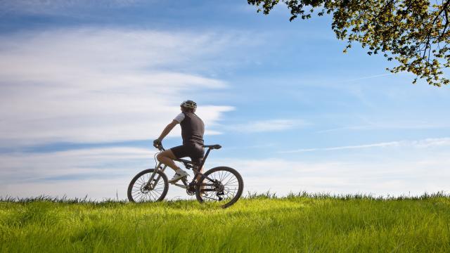 Herren-E-Bike Vergleich 2023