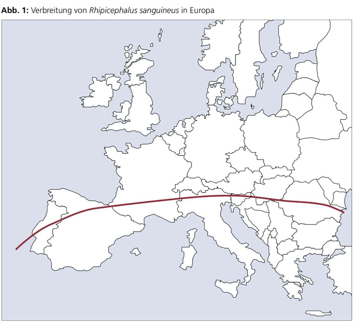 So diagnostizieren Sie canine Ehrlichiose (Ehrlichia canis)