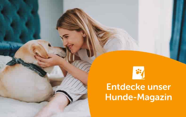 Ergänzungsfuttermittel Hund