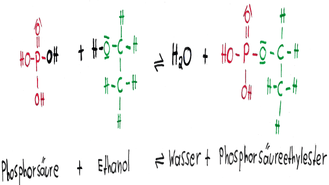 Organische Chemie: Anorganische Ester