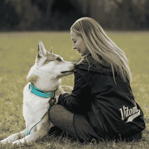 Fellwechsel beim Hund beschleunigen