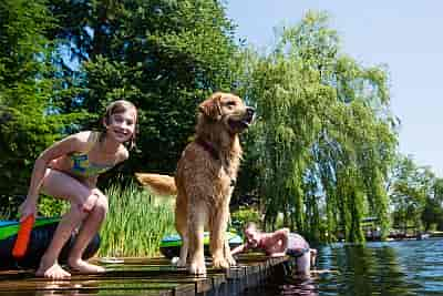 Schöner Ferienhaus-Urlaub in Deutschland mit Hund