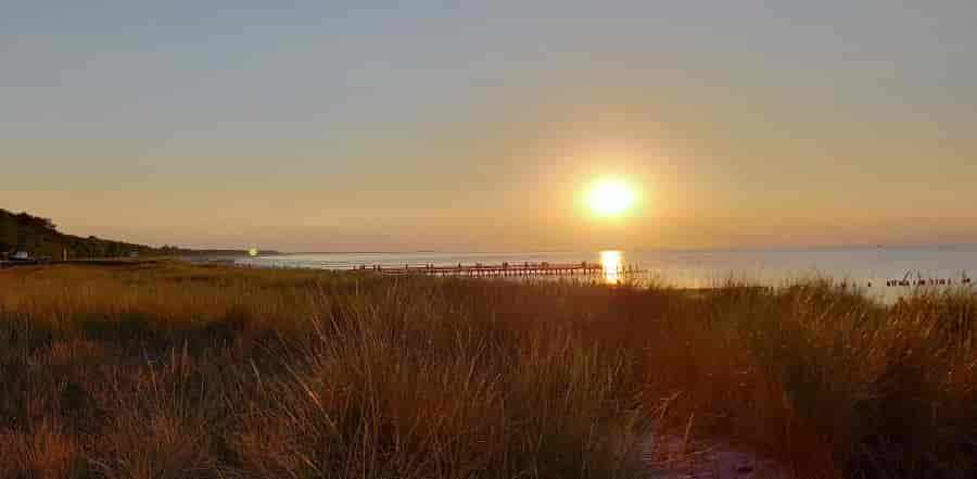 Ferienhaus-Urlaub in Zingst mit Hund am Strand