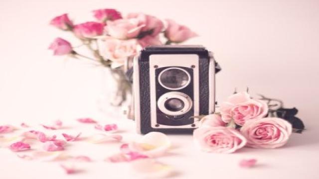 Fotobox zur Hochzeit: So findet ihr den richtigen Anbieter