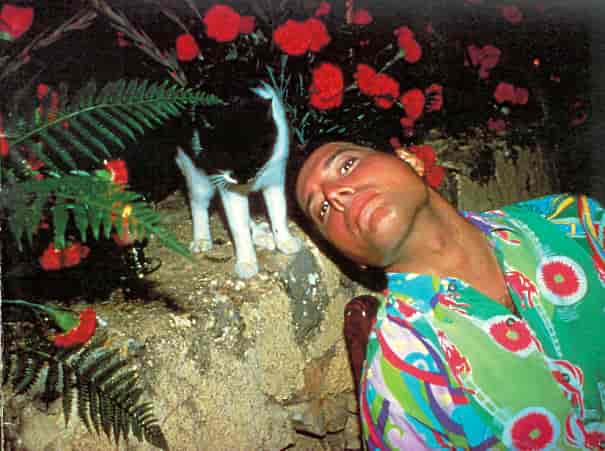 20 Vintage Photos Of Freddie Mercury And His Cats That Show His Love For Them Was Unconditional