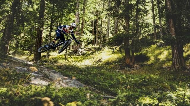 Kaufberatung: MTB-Fully