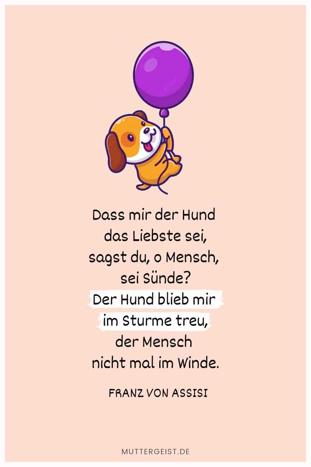 Geburtstagswünsche Hund – Für Hundefreunde und ihre Vierbeiner