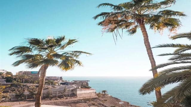 Wohin auf Gran Canaria: Die besten Urlaubsorte