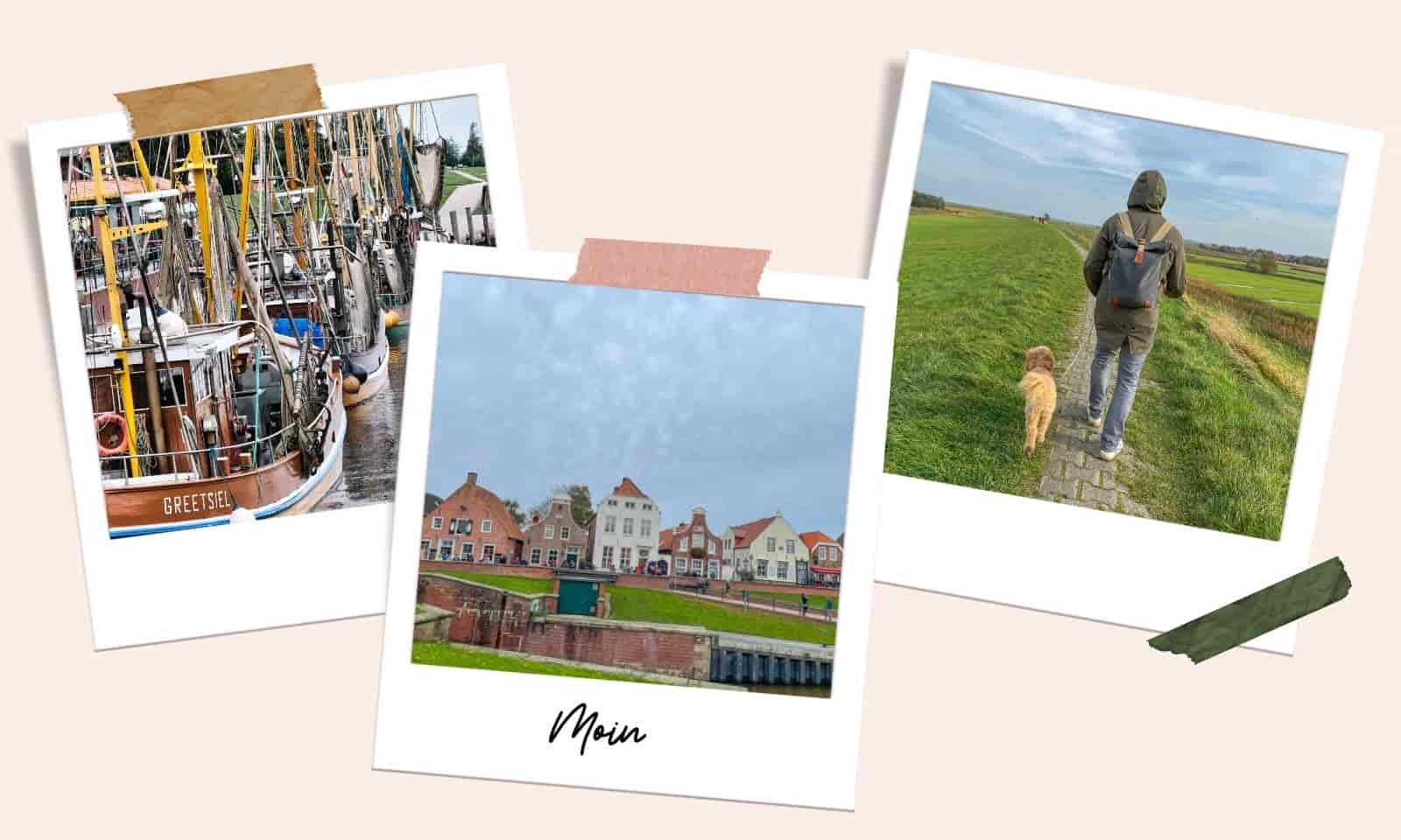 Ostfriesland mit Hund: 7 Tipps für einen schönen Urlaubstag in Greetsiel