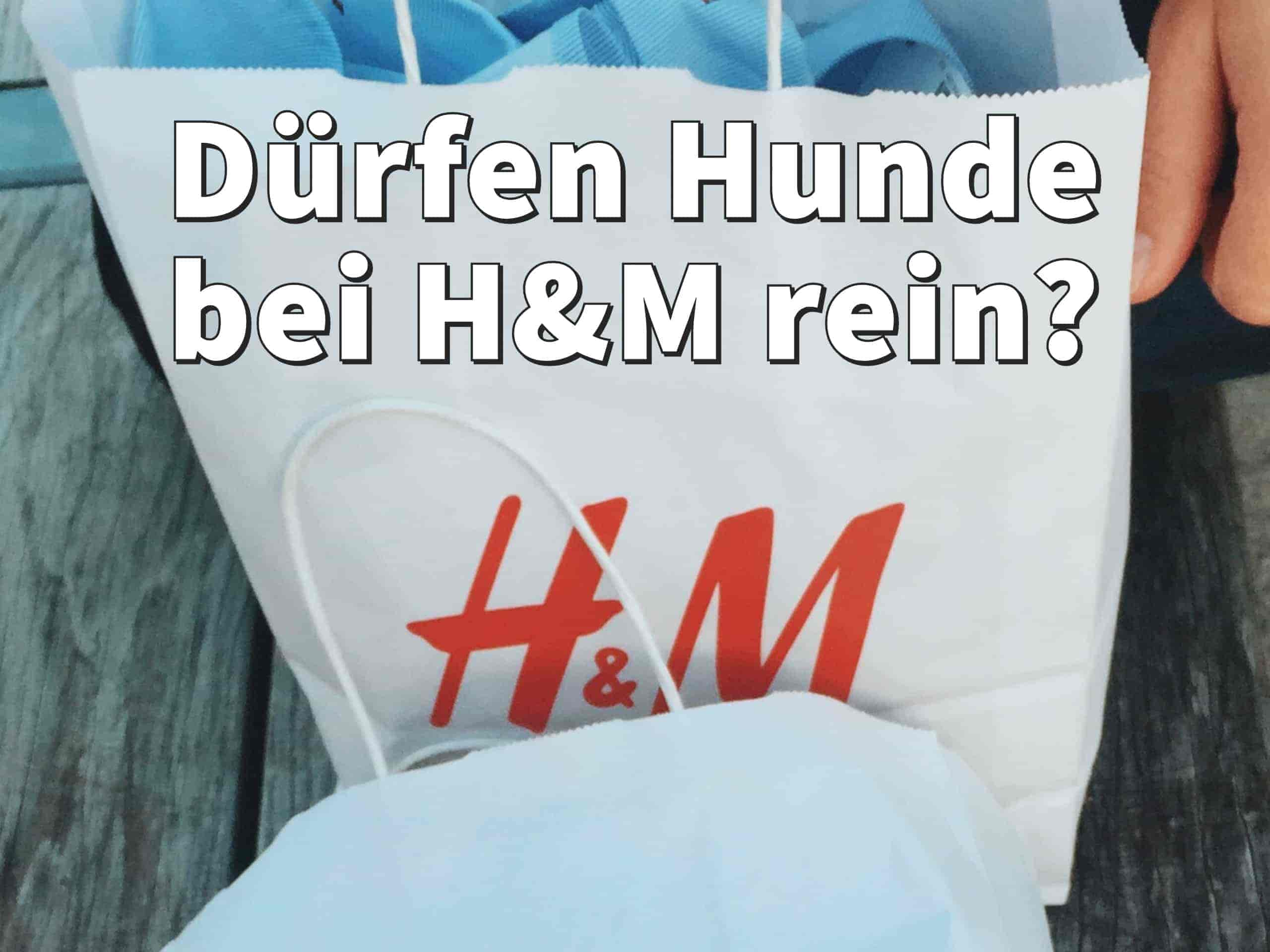 Dürfen bei H&M Hunde rein?