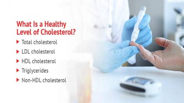 The Difference Between LDL and HDL Cholesterol