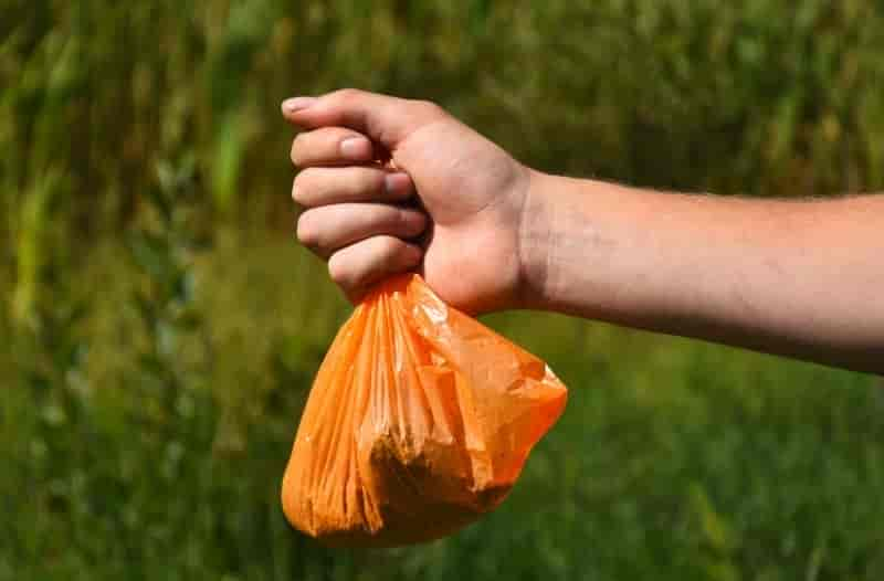 Was Kot über die Verträglichkeit von Futter aussagen kann