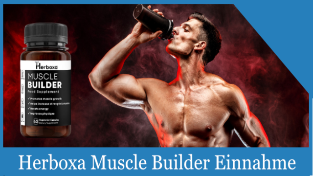 Herboxa Muscle Builder im Test, Erfahrungen, Bewertung & Vergleich 2023