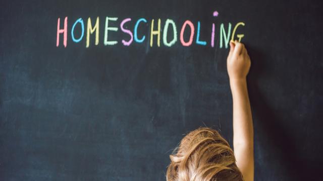 Homeschooling in Deutschland – Pro und Contra