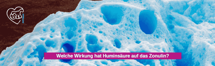 Welche Wirkung hat Huminsäure auf das Zonulin?