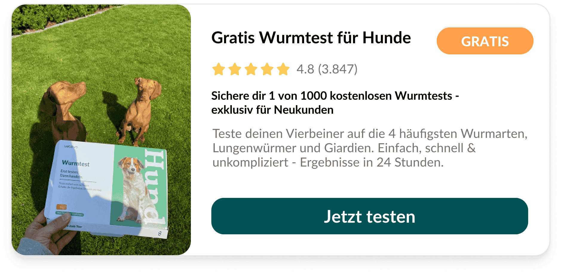 Die 5 häufigsten Irrtümer der Entwurmung Hund