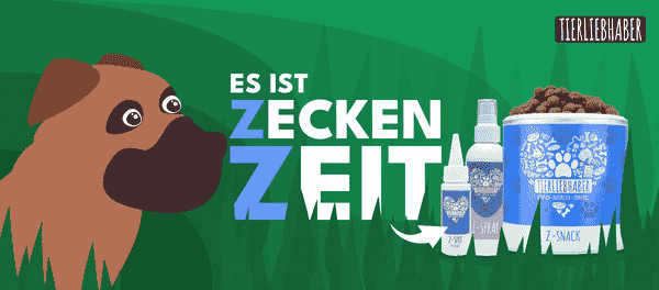 Mein Hund hat weiße Schuppen im Fell- wie werde ich die weißen Flöckchen los?