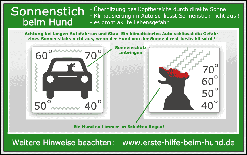 NOTFALL-CHECKLISTE : Sonnenstich