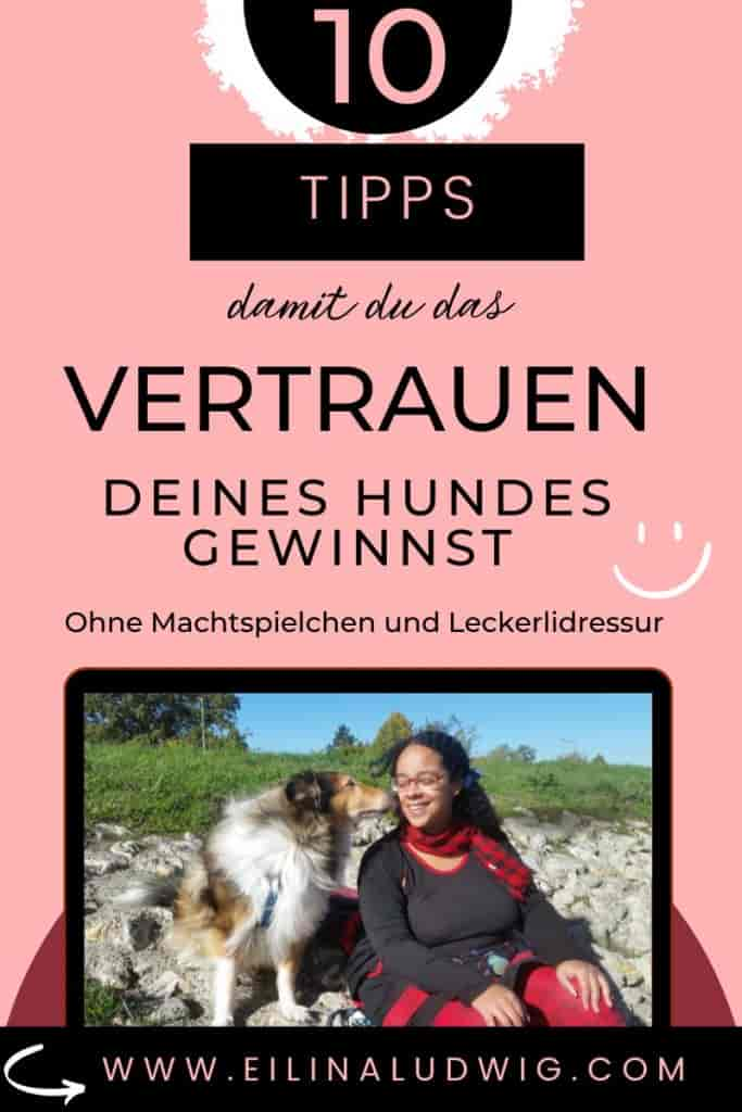 10 Tipps – Wie dein Hund Vertrauen aufbauen kann